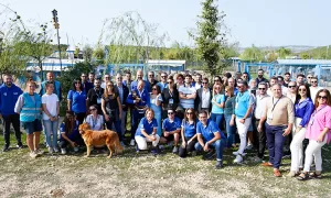 Coldwell Banker sokak hayvanları